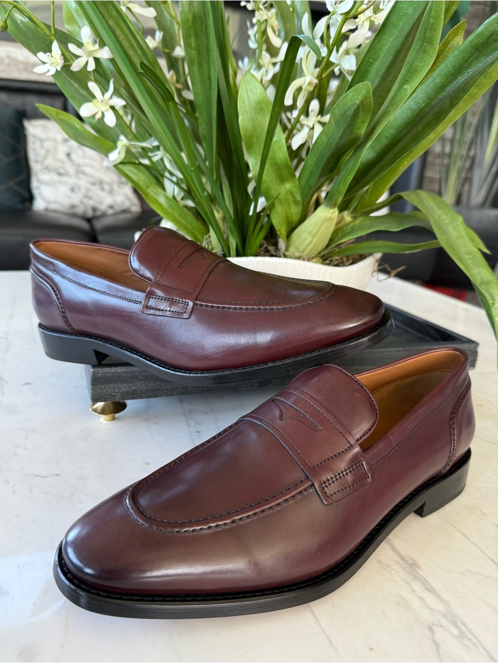 New Allen Edmonds Eli Leather Penny Loafers - Picture 8 of 16